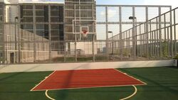 The Tennery (D23), Apartment #496706821